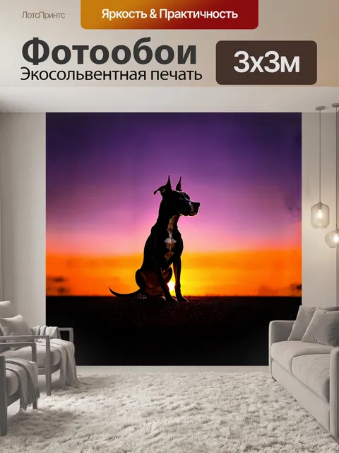 Фотообои собака, американский стаффордширский терьер, сидит на фоне заката, её силуэт контрастирует с яркими…