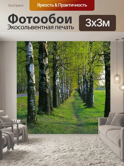 Фотообои Берёза
