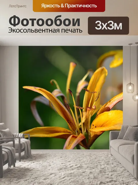 Фотообои Цветы