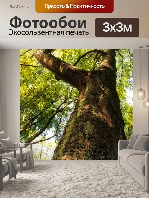 Фотообои Фотография кроны листвы деревьев