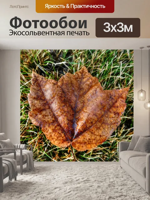 Фотообои Коричневый кленовый лист