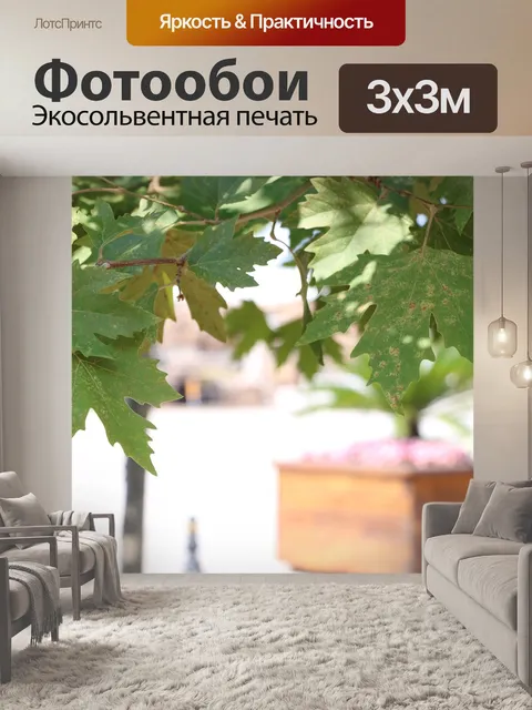 Фотообои Самолет