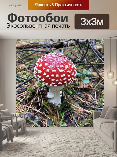 Фотообои Гриб
