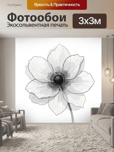 Фотообои Нежный цветок в монохроме