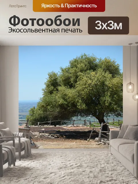 Фотообои Зеленый