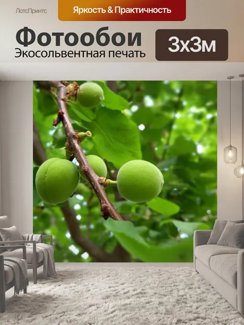 Фотообои Фрукты