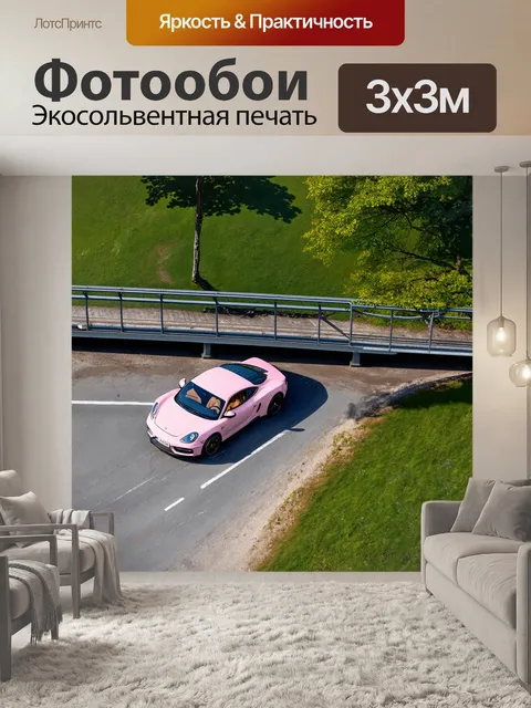 Фотообои вид сверху на спортивную машину, остановившуюся у мостика в парке