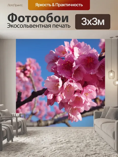 Фотообои Куритиба