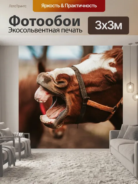 Фотообои Лошадь