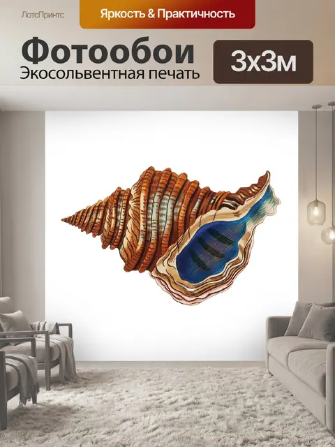 Фотообои Ракушка старинное искусство старый