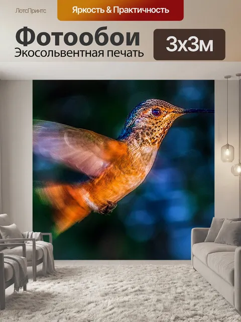 Фотообои Колибри