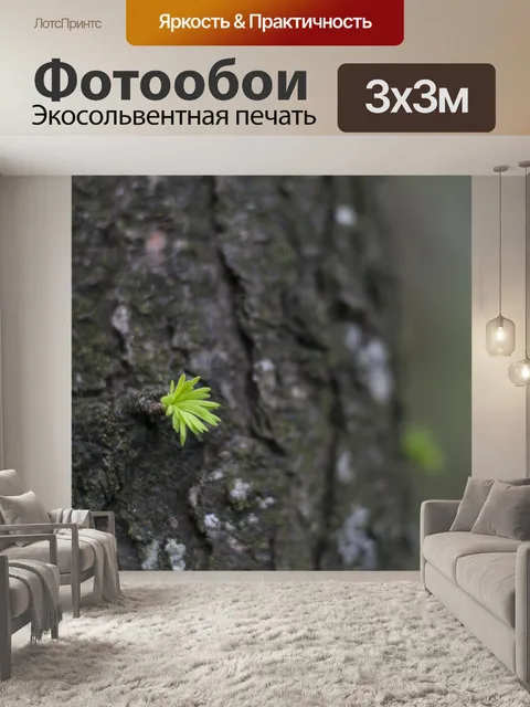 Фотообои Снежная ель