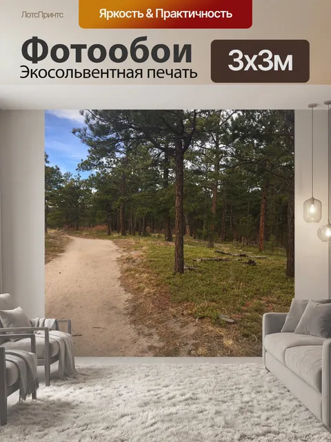 Фотообои Деревья
