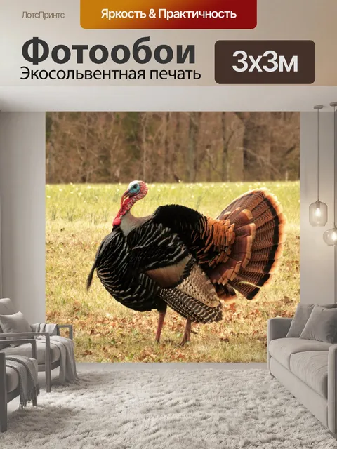 Фотообои Весенний Том-Турция