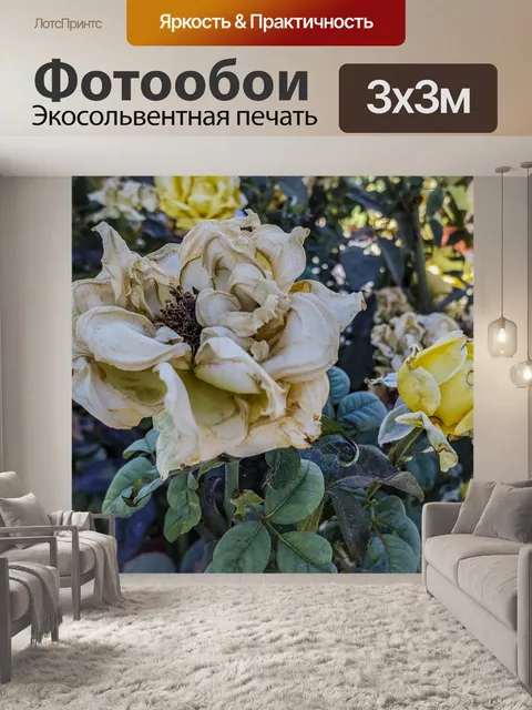 Фотообои Фон мертвого цвета