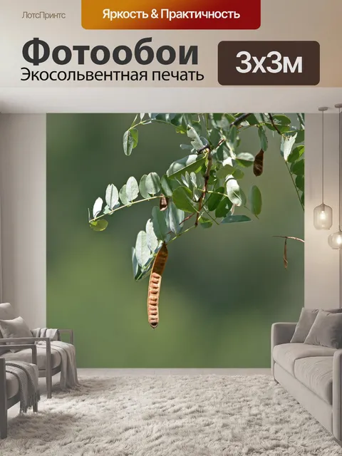Фотообои дерево с округлыми листьями &amp; семян