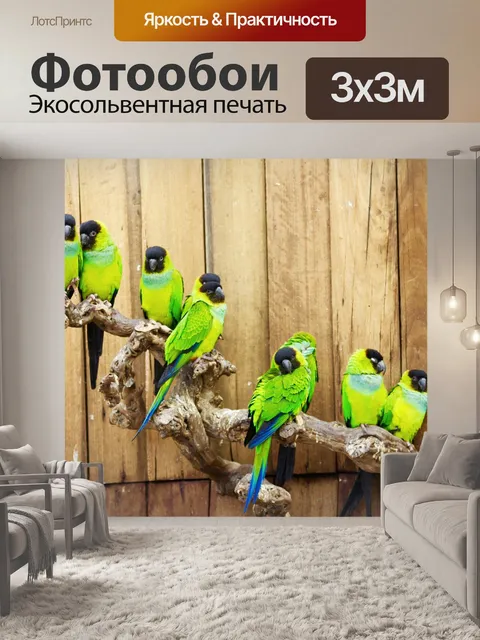 Фотообои Птицы