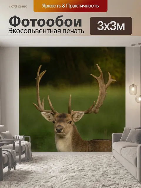 Фотообои Олени в лесу
