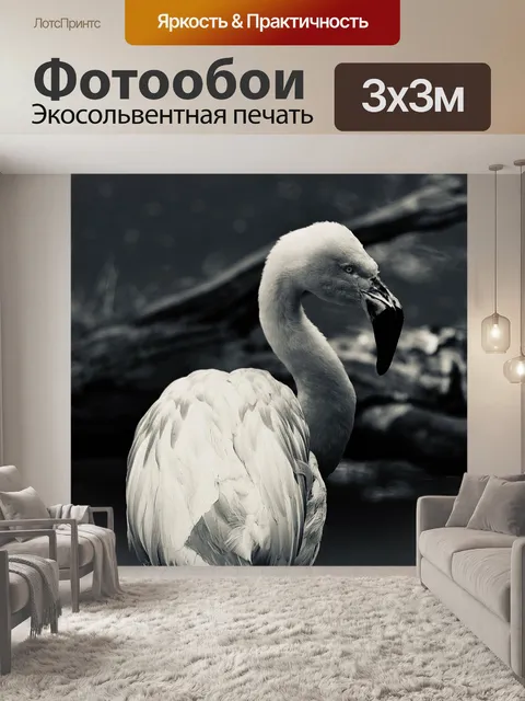 Фотообои Птица
