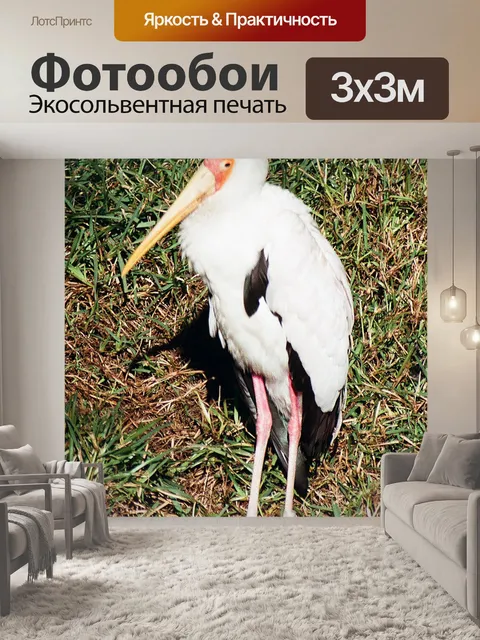 Фотообои Желтый аист Объявленный