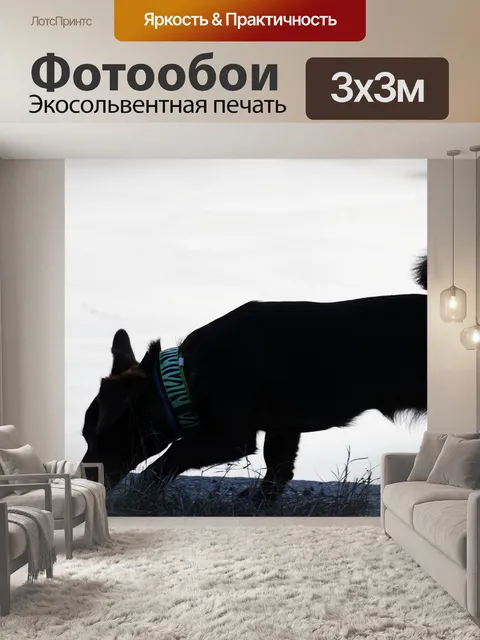 Фотообои Силуэт