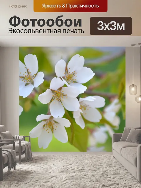 Фотообои Цветы
