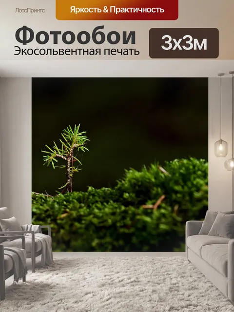 Фотообои Дерево