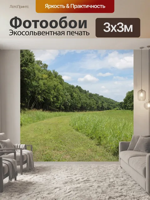 Фотообои Долина поле