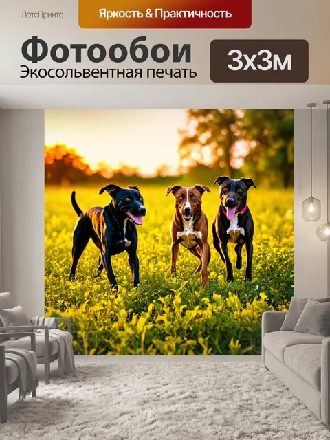Фотообои животные в стиле романтизм, фьельдские собаки, занимающиеся в окружении яркой зелени на закате