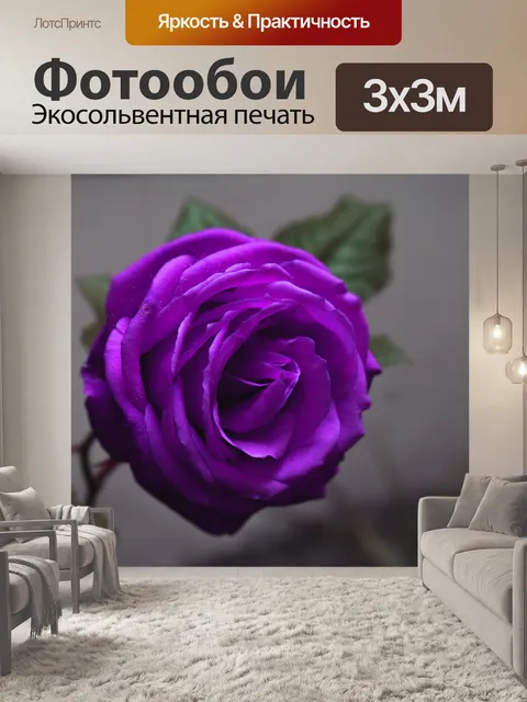 Фотообои Роза