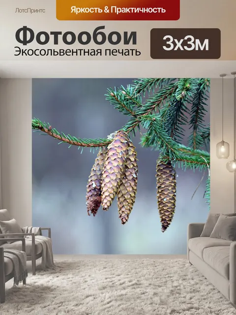 Фотообои Шишки