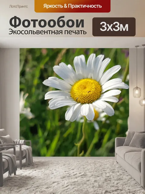 Фотообои Ромашка