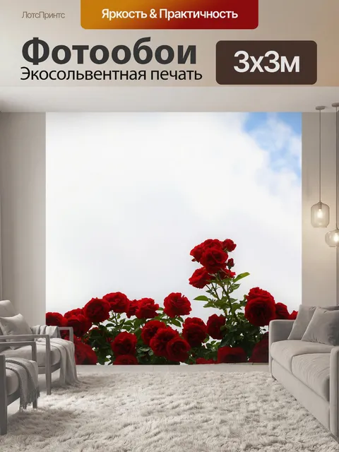 Фотообои Задний план
