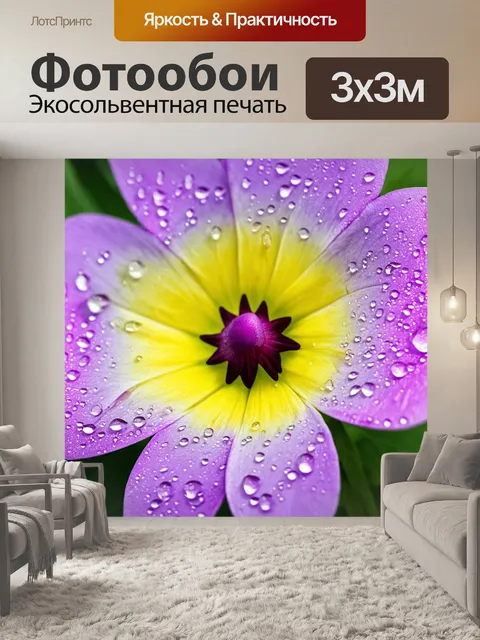 Фотообои цветы с макро-съемкой капель воды на лепестках, подчеркивающих их нежную текстуру и свежесть