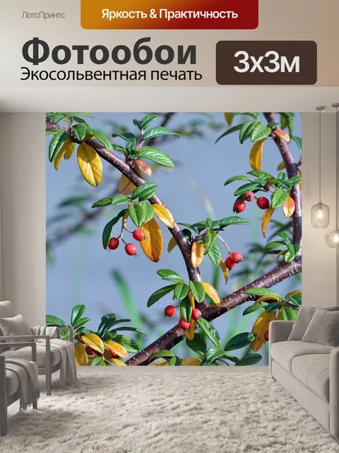 Фотообои Ягоды