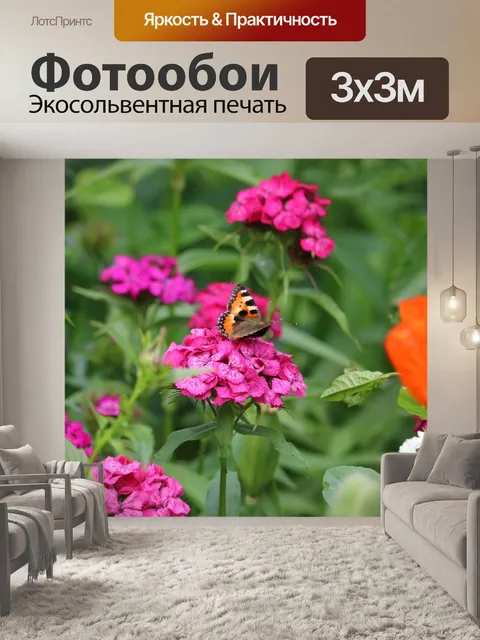 Фотообои Бабочка