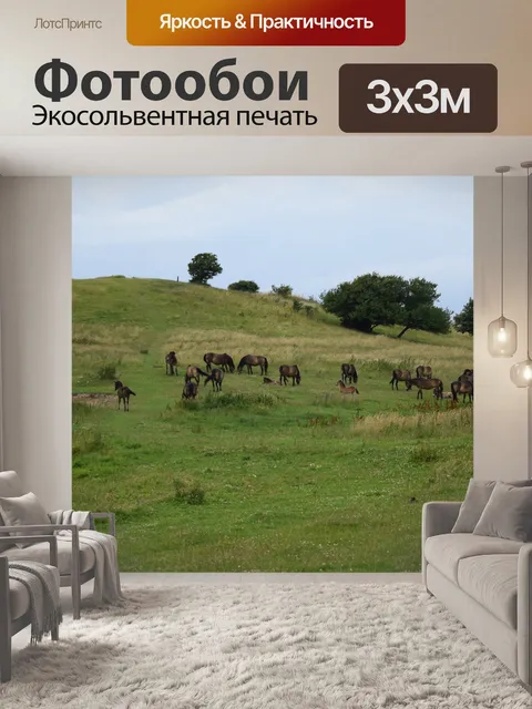 Фотообои Лошади