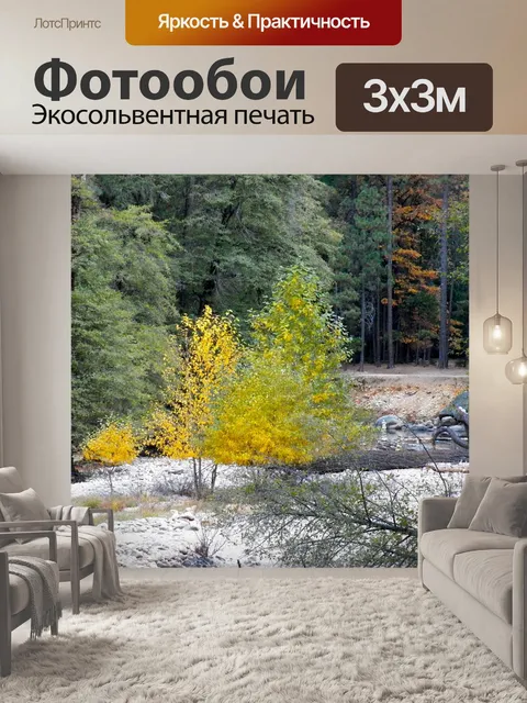 Фотообои Лес
