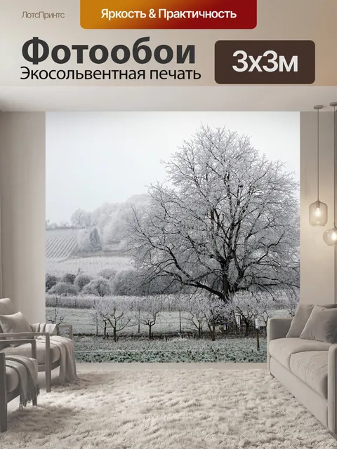 Фотообои Зима