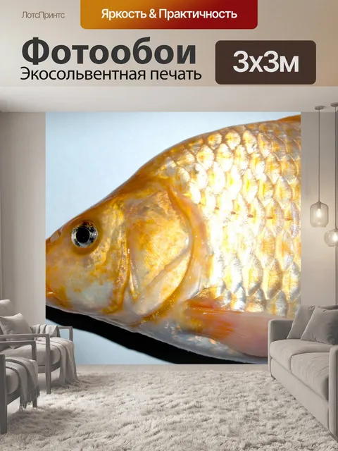 Фотообои Пресноводная рыба фото