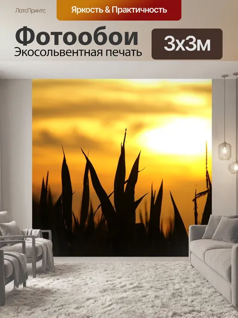 Фотообои Закат