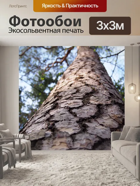 Фотообои Дерево