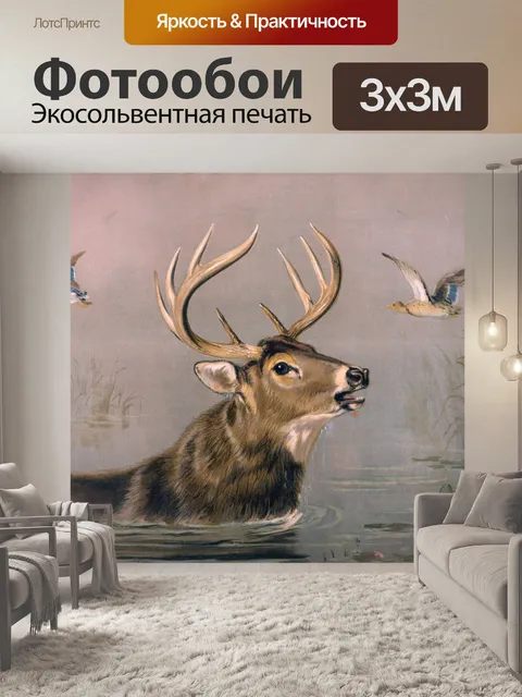 Фотообои Олень