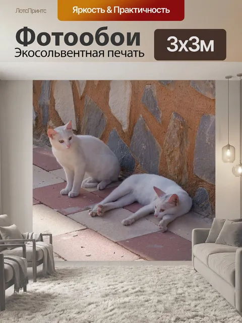 Фотообои Кошки