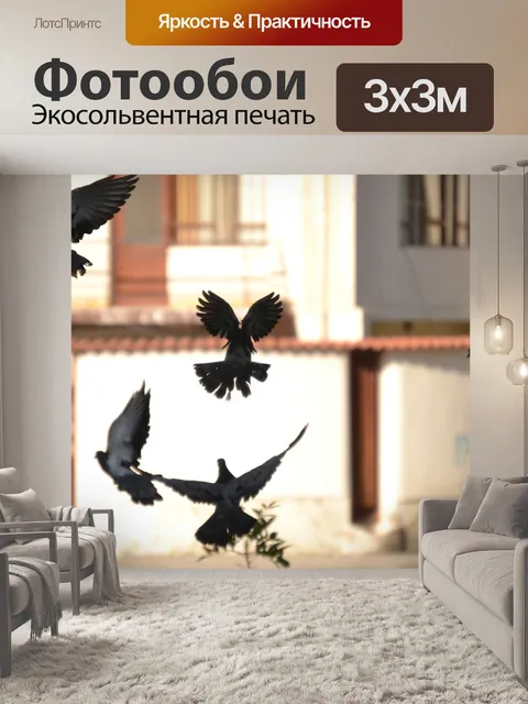 Фотообои Голубь