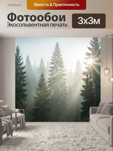 Фотообои Туманный хвойный лес с солнцем