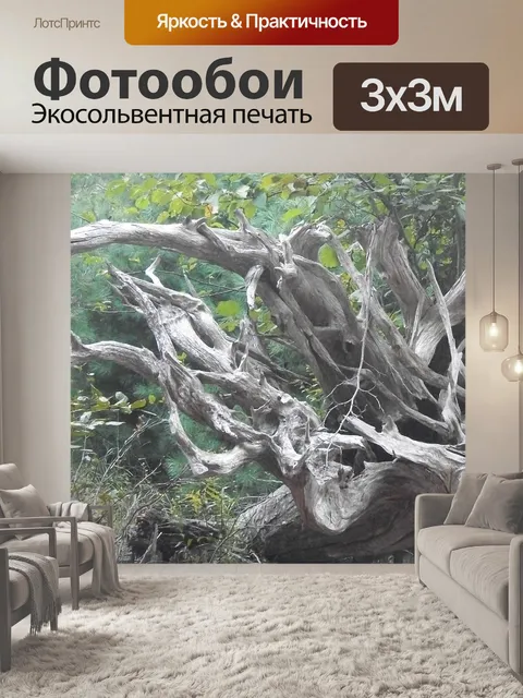 Фотообои Driftwood