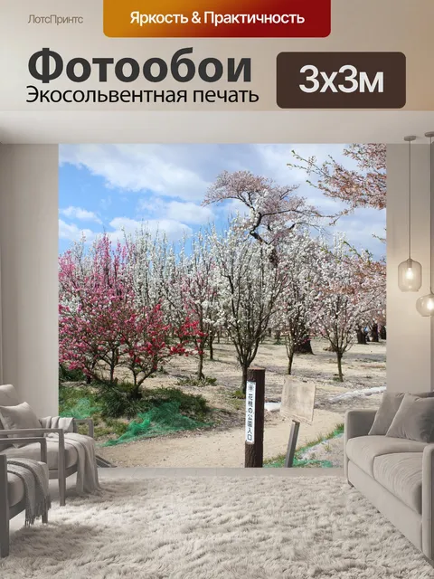 Фотообои Ханамомо парк