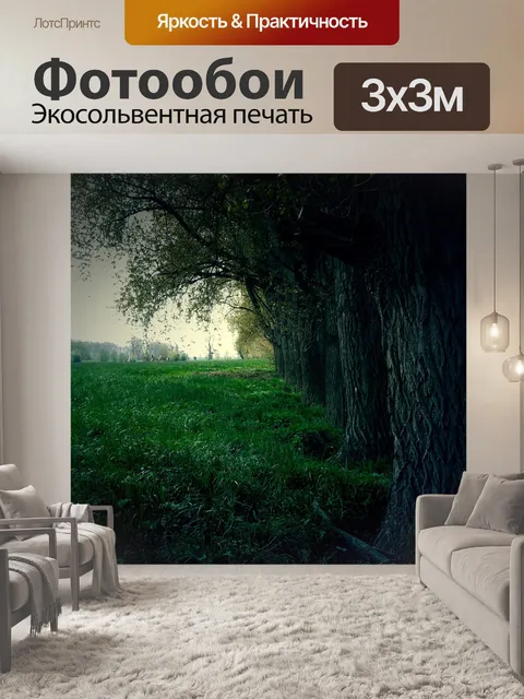 Фотообои Лес