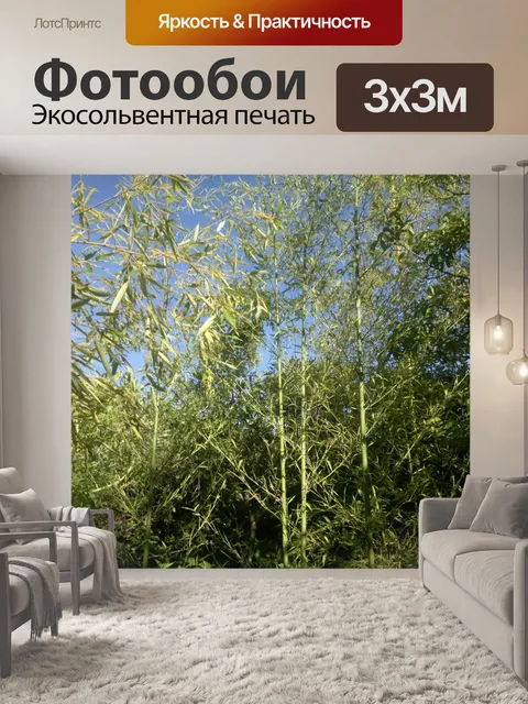 Фотообои Бамбук и растительность